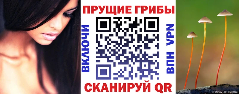дарк нет какой сайт  Холм  Галлюциногенные грибы прущие грибы 